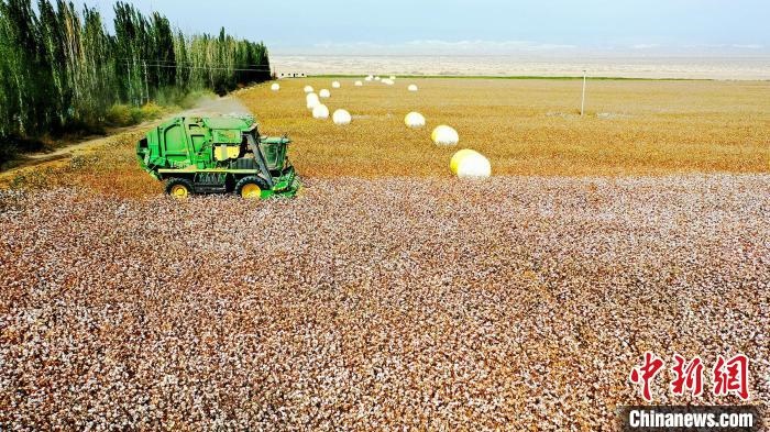 近年來，當(dāng)?shù)孛藁ǚN植戶的生產(chǎn)生活發(fā)生了翻天覆地的變化?！《?攝