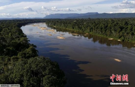 資料圖：亞馬孫雨林內(nèi)的河流。