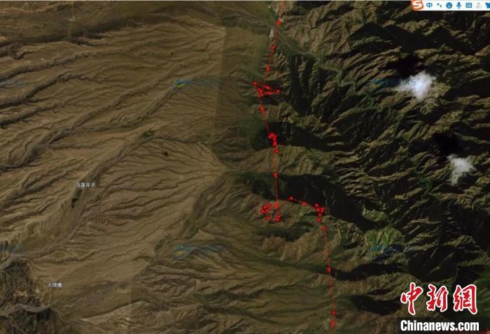 圖為雪豹故地重游來到放歸地的足跡?！让晒刨R蘭山國家級自然保護區(qū)供圖