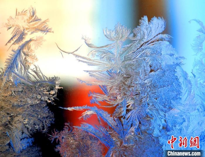 冰窗花千姿百態(tài)。　孫書程 攝