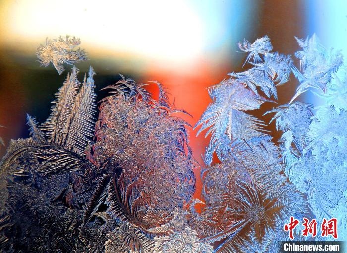 惟妙惟肖的冰窗花，似一幅風景畫。　孫書程 攝