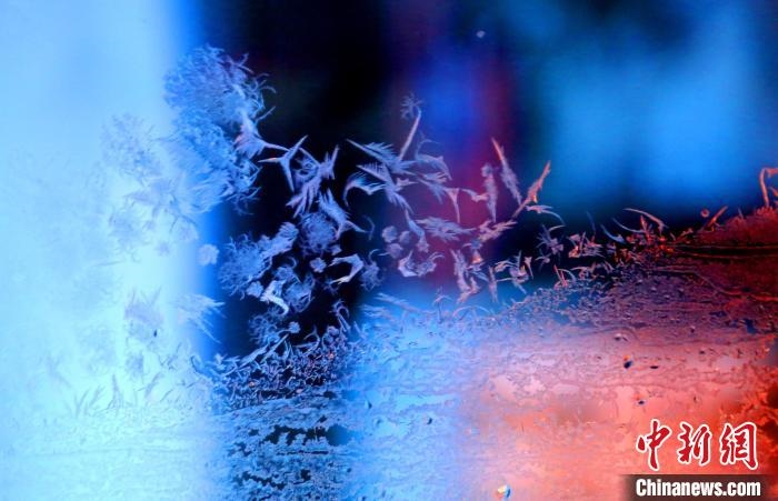 點點冰花像一個個小精靈?！O書程 攝