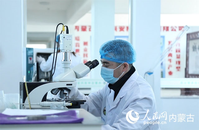 內(nèi)蒙古中農(nóng)興安種?？萍加邢薰韭鋺艨朴抑衅?，為肉牛產(chǎn)業(yè)發(fā)展提供了優(yōu)質(zhì)的種源保障。白俊華攝