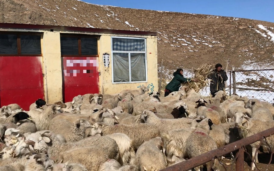 1615957715558668.jpg 微信圖片_20210317130712.jpg