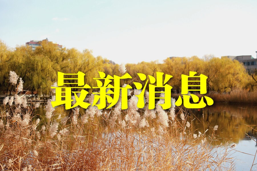 1616470231950387.jpg 7-201105095J5_副本.jpg