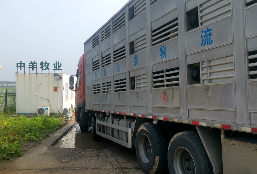 1629083364546691.jpeg WechatIMG3005.jpeg