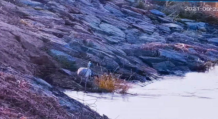 1632420299267101.jpg 微信圖片_20210924020014.jpg