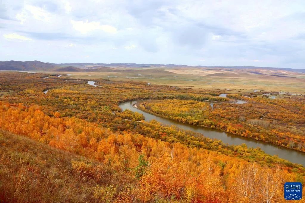 1646227336235857.jpg 微信圖片_20220302203648.jpg