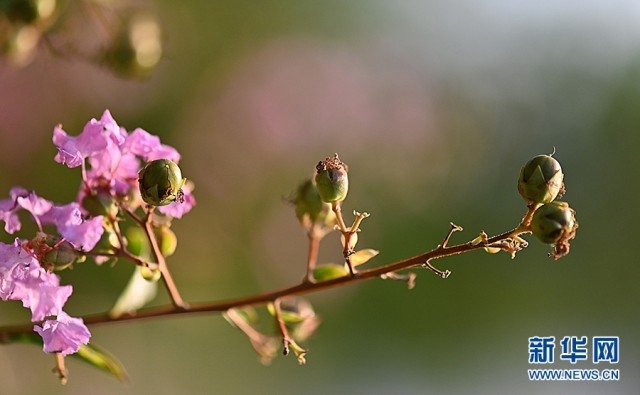 1662607625131397.jpg 00300584748_4aac23e3.jpg