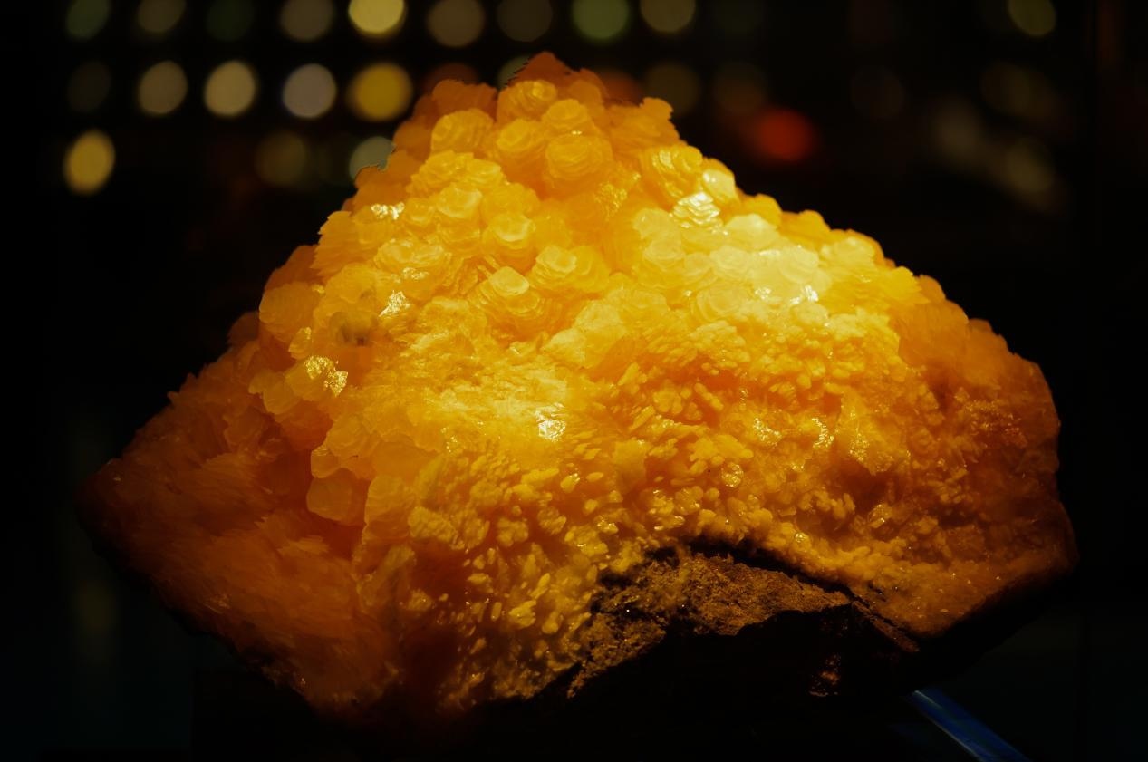 1685415795115901.png 圖片5.png