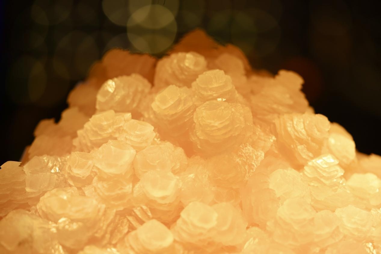 1685415856212921.png 圖片7.png