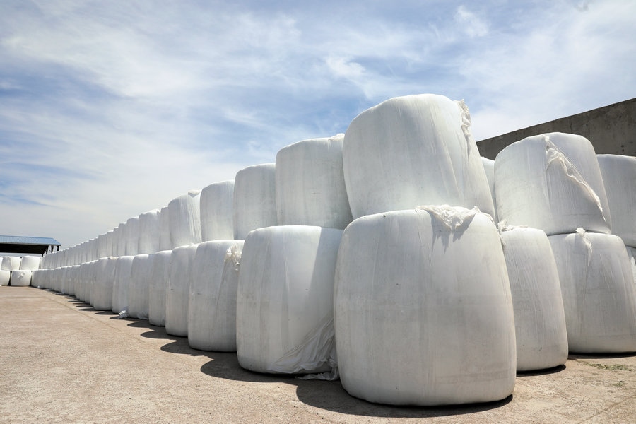 1685890481103779.jpg 7O5A5896.JPG