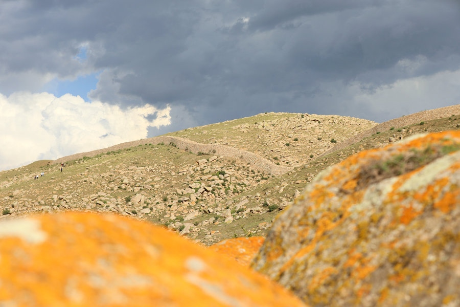 1691340597104808.jpg 7O5A4803.jpg