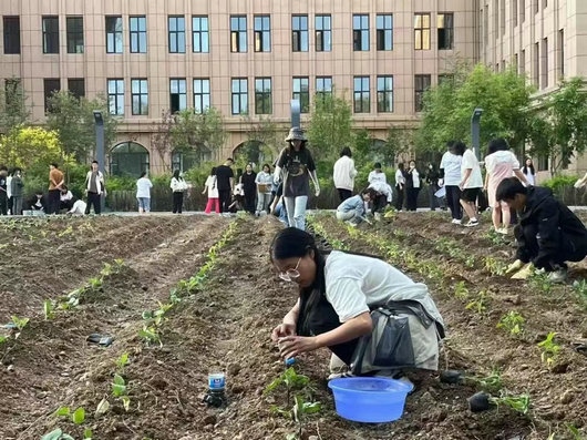 1692244366456265.jpg 3.jpg