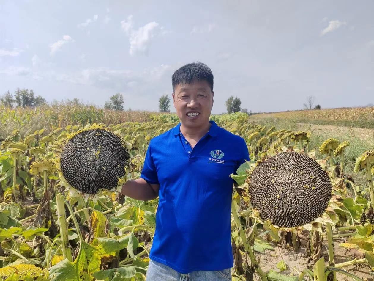 1695441076408371.jpeg 1695441076408371.jpeg