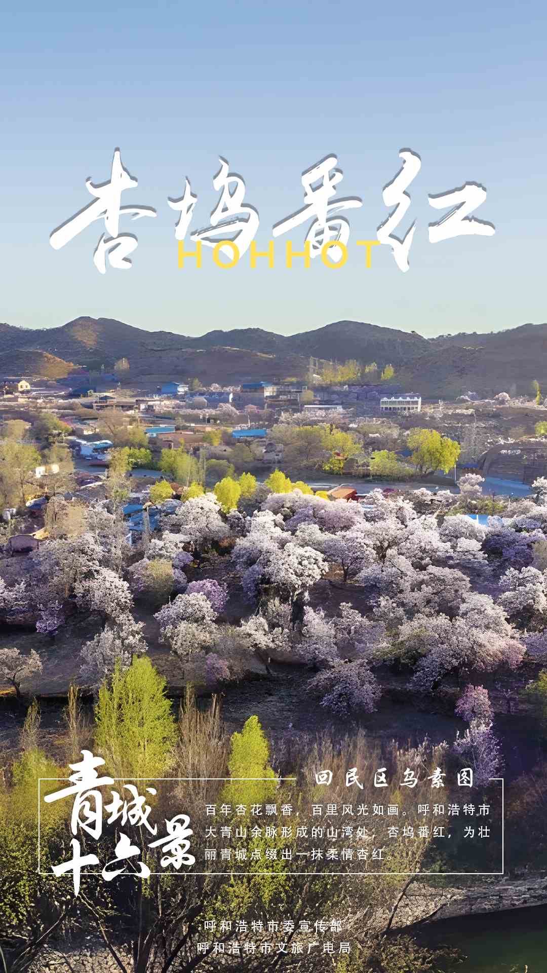 1703238164121655.jpg 13.jpg