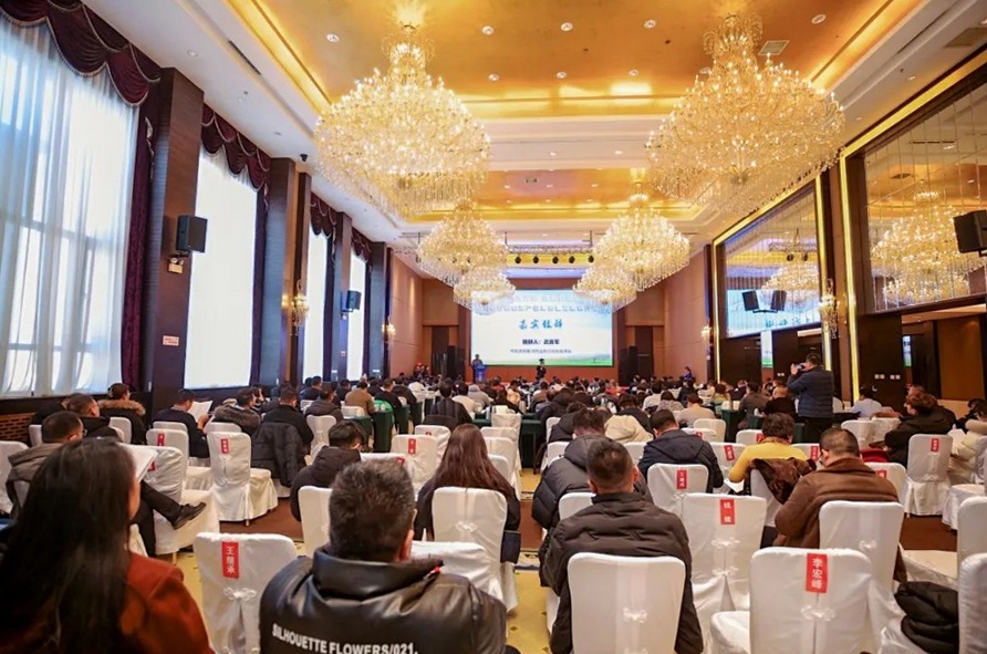 1706205018869155.png 圖片3.png