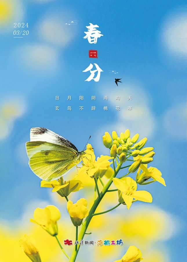 1710897817124551.jpg _K4I9674.JPG