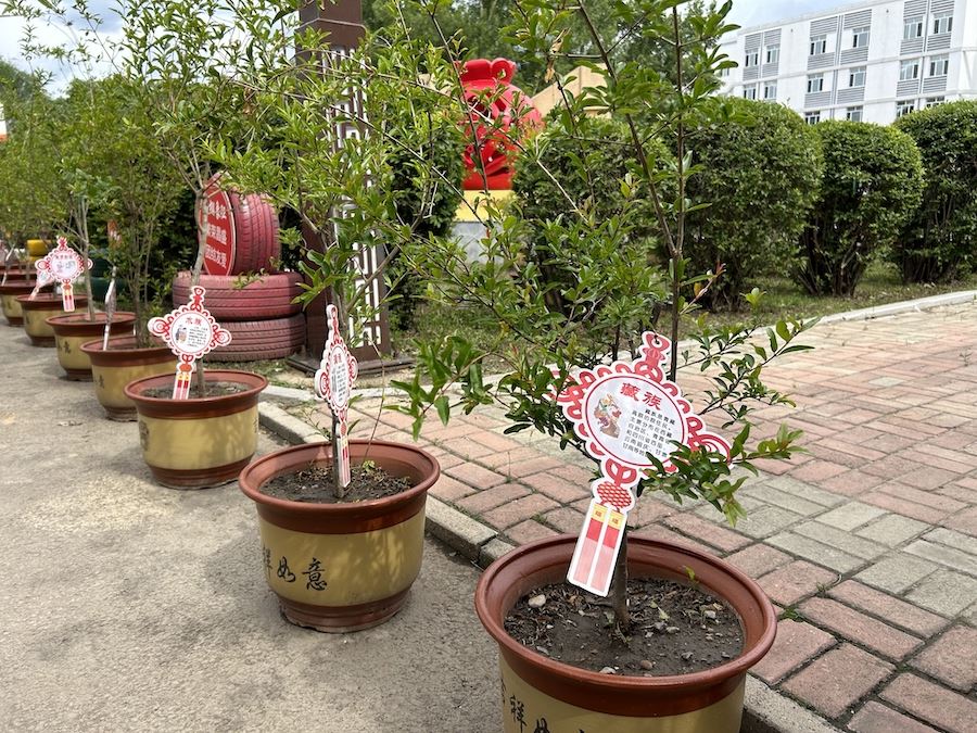 1719338664347094.jpeg WechatIMG1637.jpeg