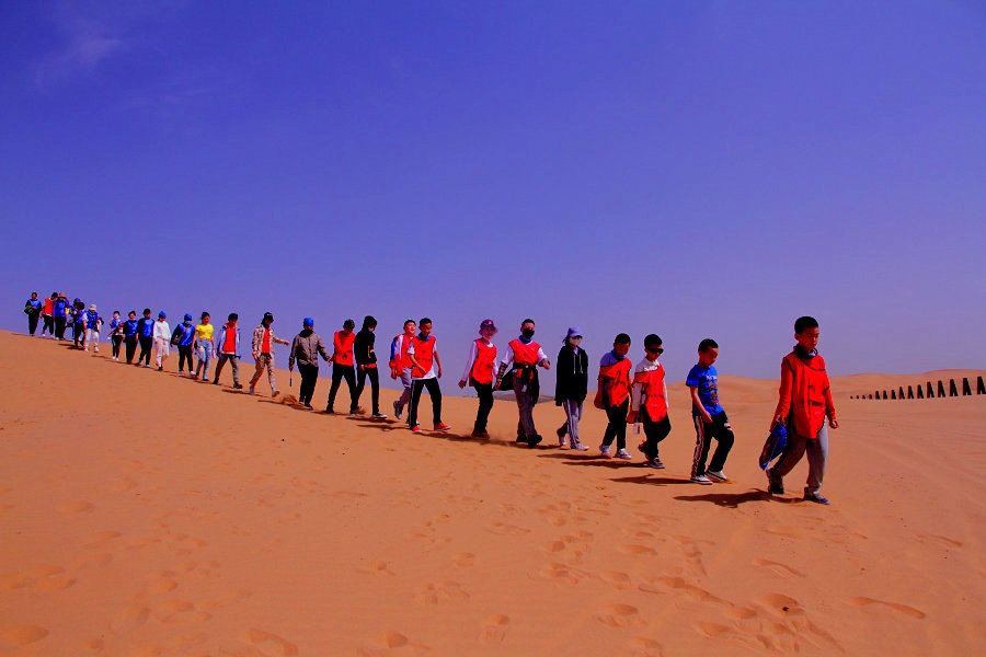 1719835667802628.jpg 1620037234260719.jpg