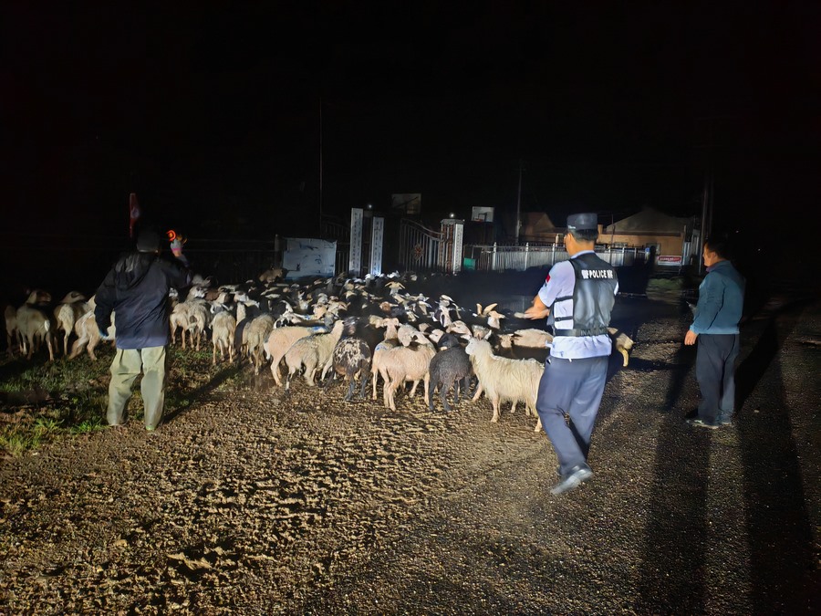 1723520190738210.jpg 20240813113358.jpg