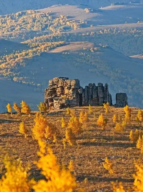 1727510639136225.jpeg WechatIMG130.jpeg