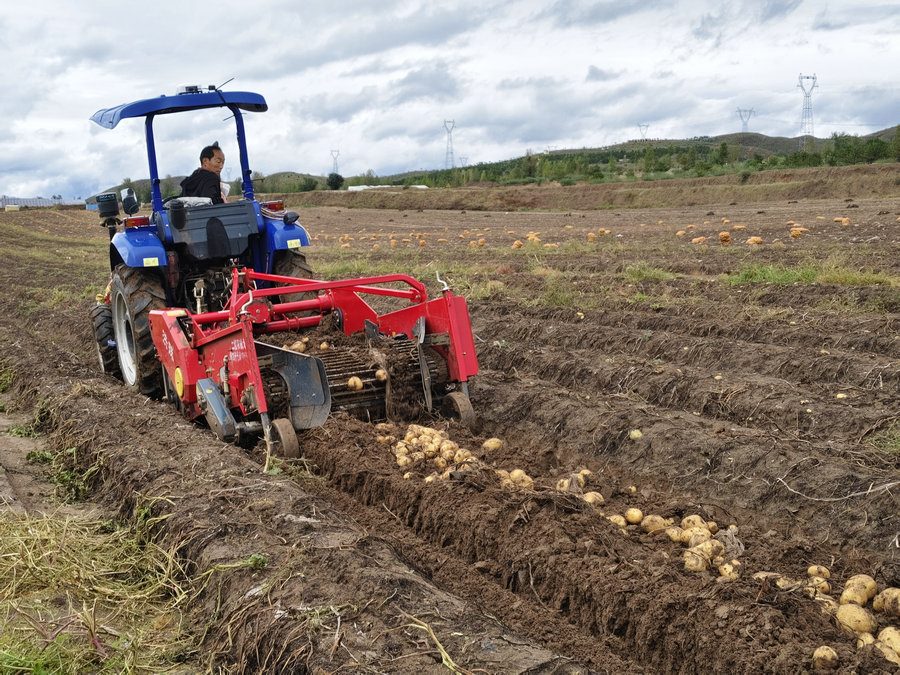 1727599445540651.jpg _O6I0394(1).JPG