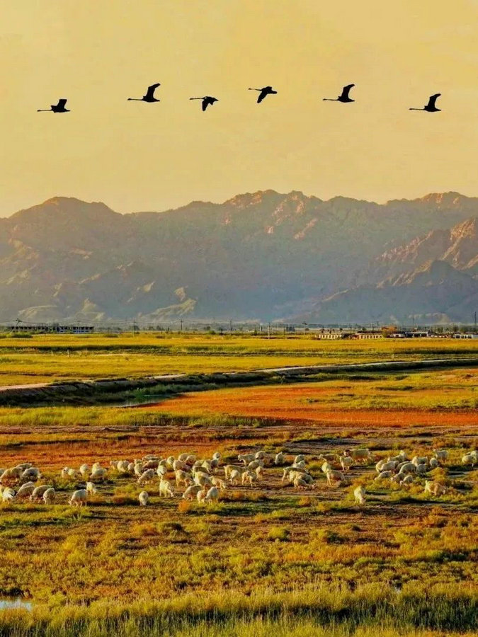 1735285604783307.jpg _O6I3470(2).JPG