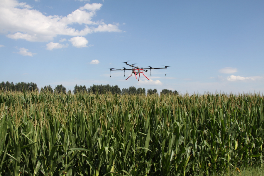 1736739358884819.png 01e87609dc7bf9a79d080c384c81fa53.png