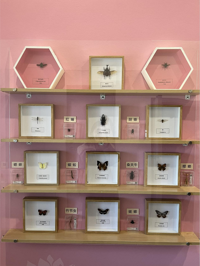 1737510699387544.png 333.png