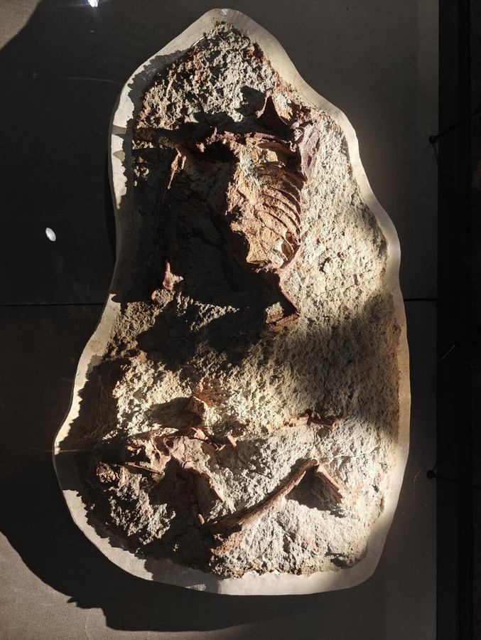 1737895480590611.png 圖片2.png