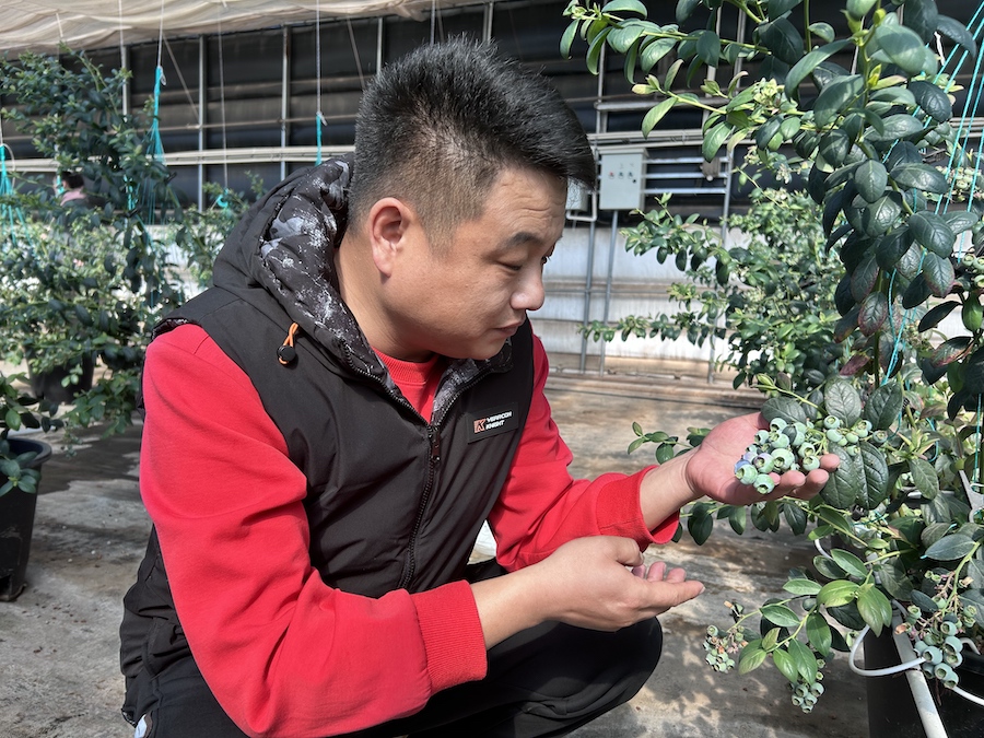 1740748273102923.jpeg WechatIMG914.jpeg