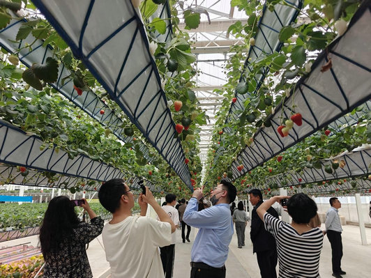 1744421015104752.jpg 農(nóng)業(yè)3.jpg