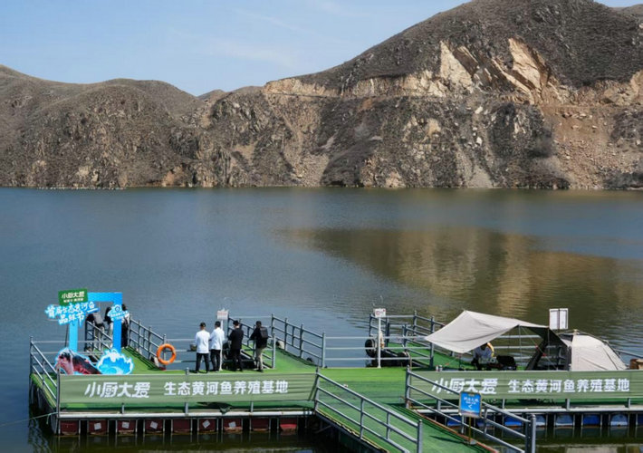 1745113186193427.jpg 魚(yú)1.jpg