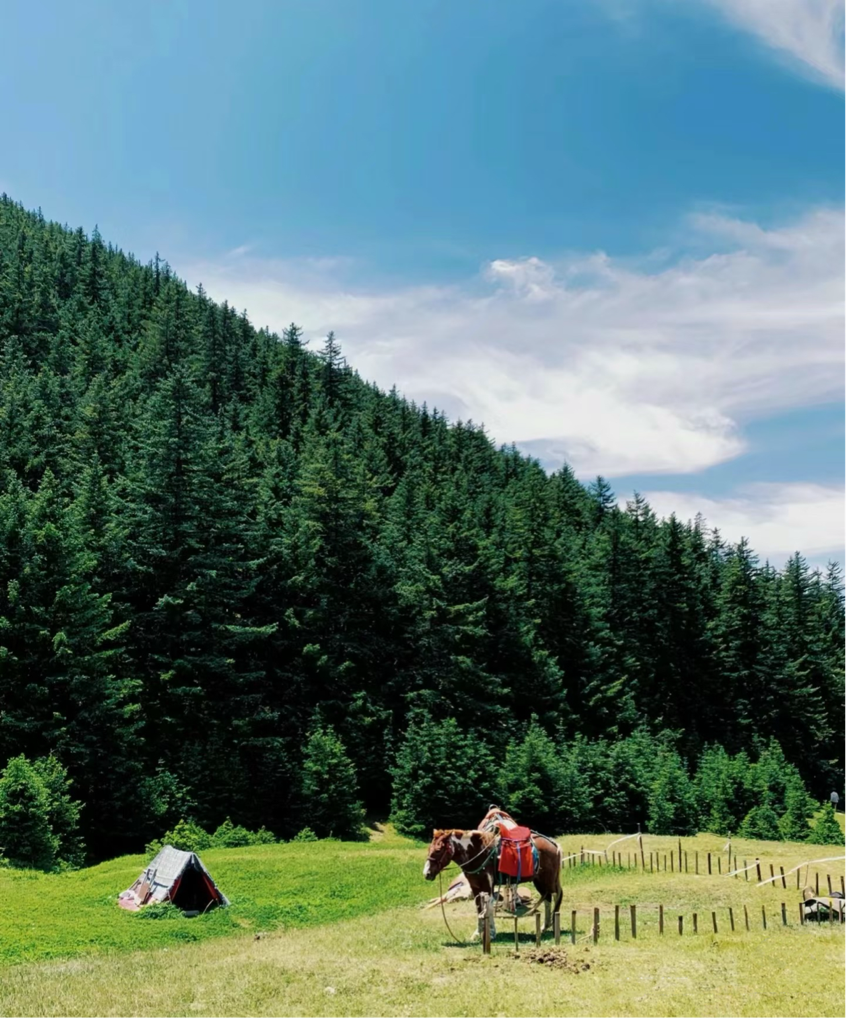 1753588172126418.png 阿拉善9.png