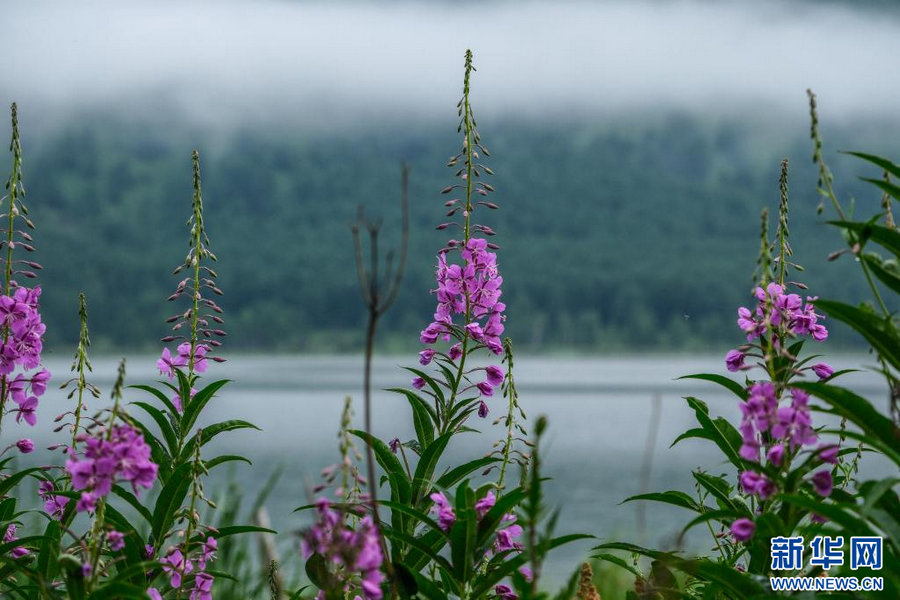 1753760093766094.jpg 202507288e7b878edf4443a883859788672d1fef_2025072842d902ef192140d0a8fdf0adba98f1de.jpg