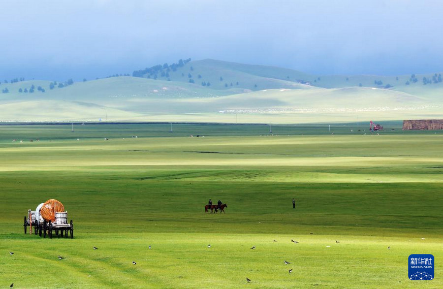 1754375853378249.jpg 20250804cbf74faacd9b4b2f964ec61d29ed561b_20250804b4d5ab03360b4a16907000d73eb4b59a.jpg