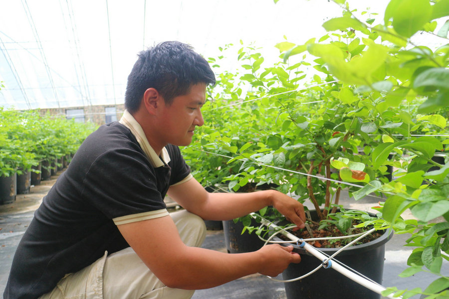 1754893569128665.jpg .jpg