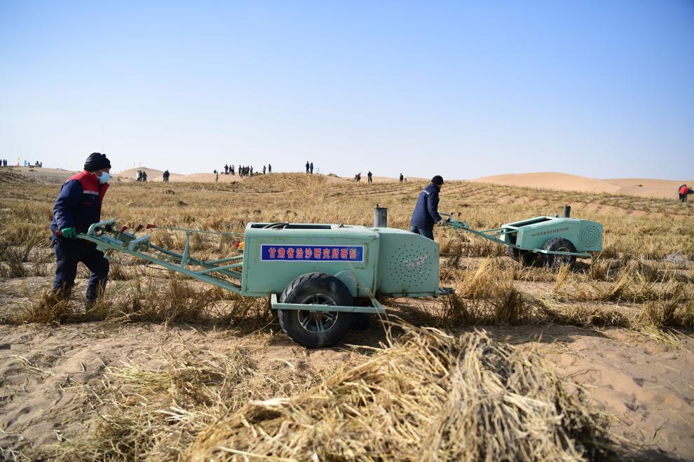 1761099458180260.jpg 8.jpg