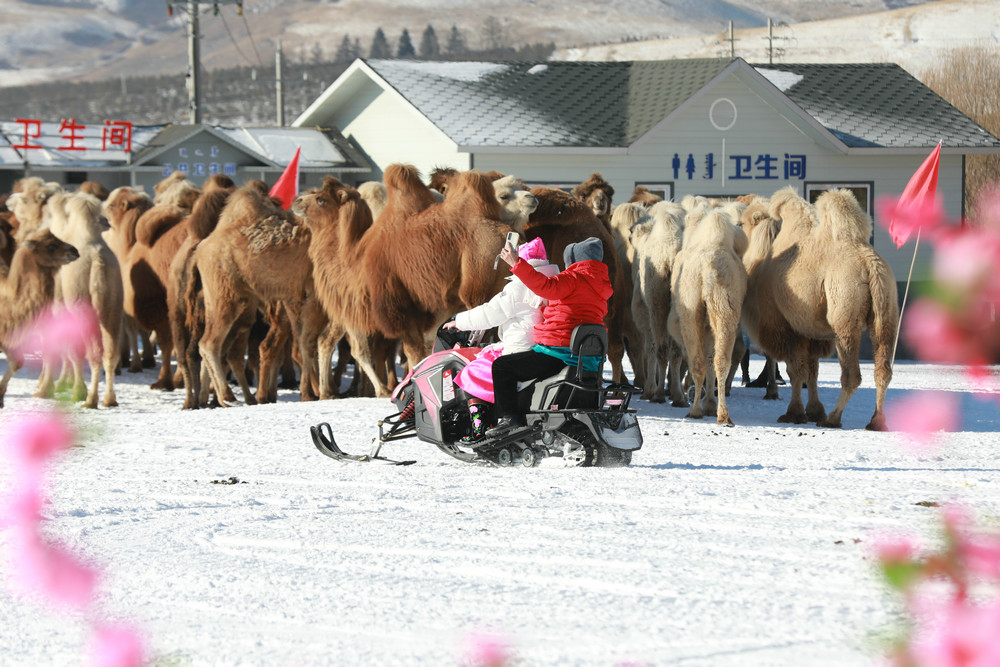 1766910354924408.jpg 7O5A0934.jpg