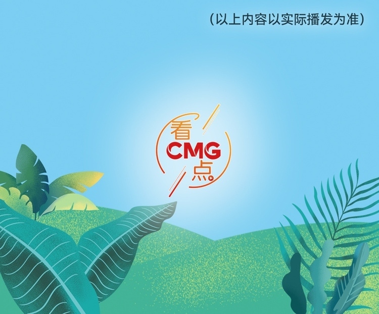 總臺周看點(diǎn)，來了！