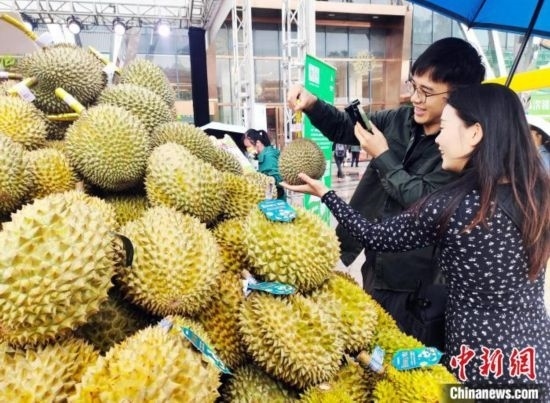 圖為廣西南寧市民在選購(gòu)榴蓮。黃艷梅 攝