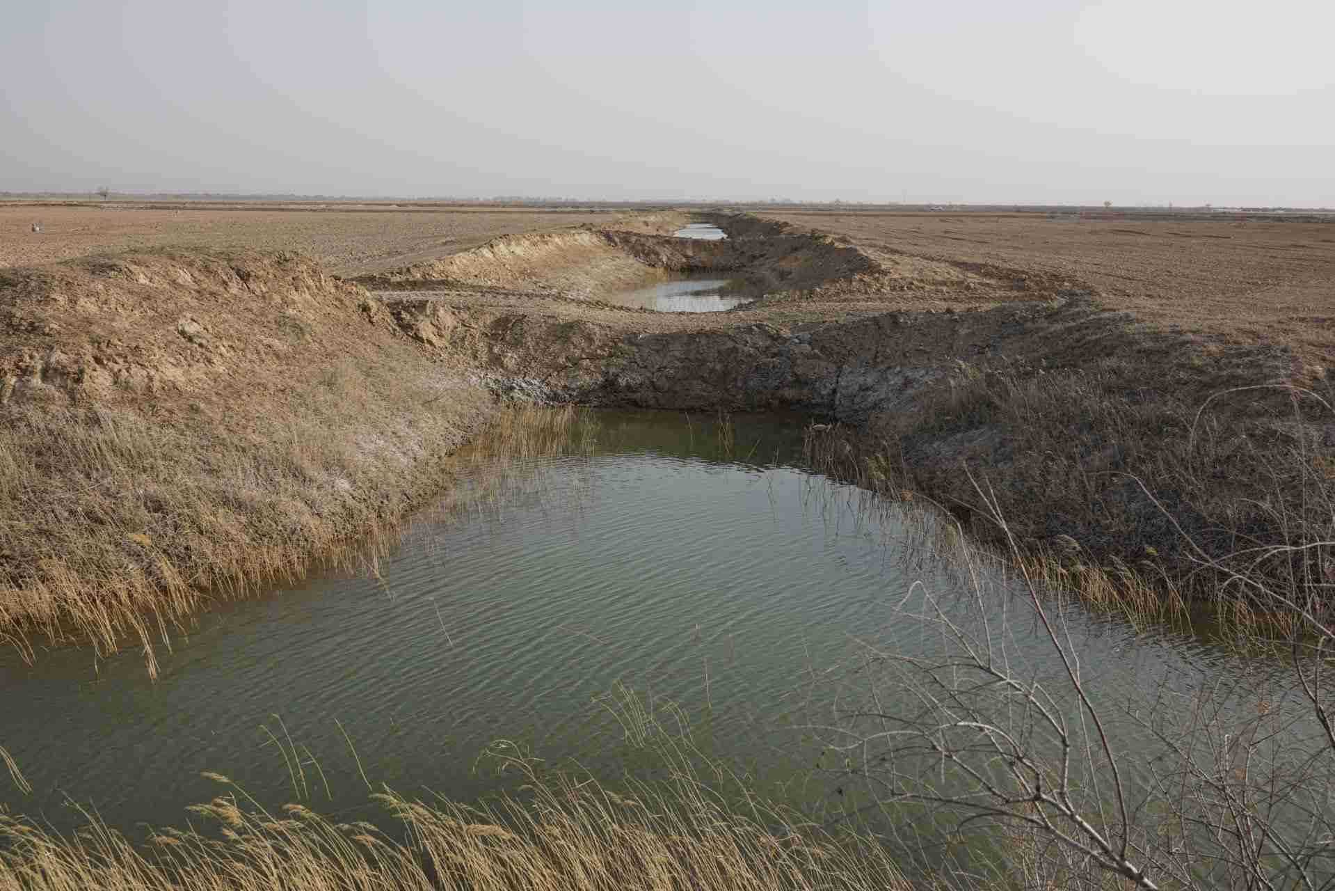 堵塞的排堿渠。 人民網記者 游天燚攝