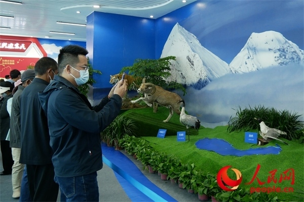 6月17日，觀眾正在觀展。人民網(wǎng) 韋衍行攝