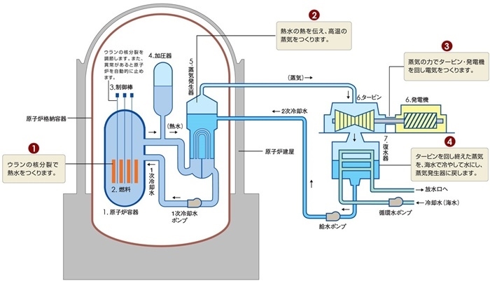 核電站運作原理圖。通常的核電站排水未直接接觸核燃料。（圖片來源：日本北海道電力株式會社網(wǎng)站）