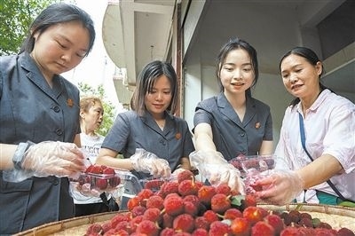 志愿者和村民一起將摘下的楊梅裝進(jìn)食品盒里。