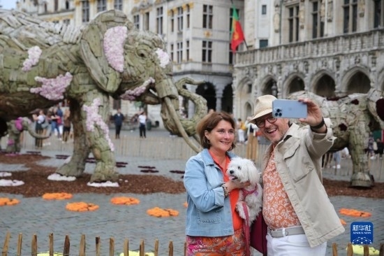 8月11日，觀眾在比利時布魯塞爾“鮮花時光”展覽上拍照。新華社記者 趙丁喆攝