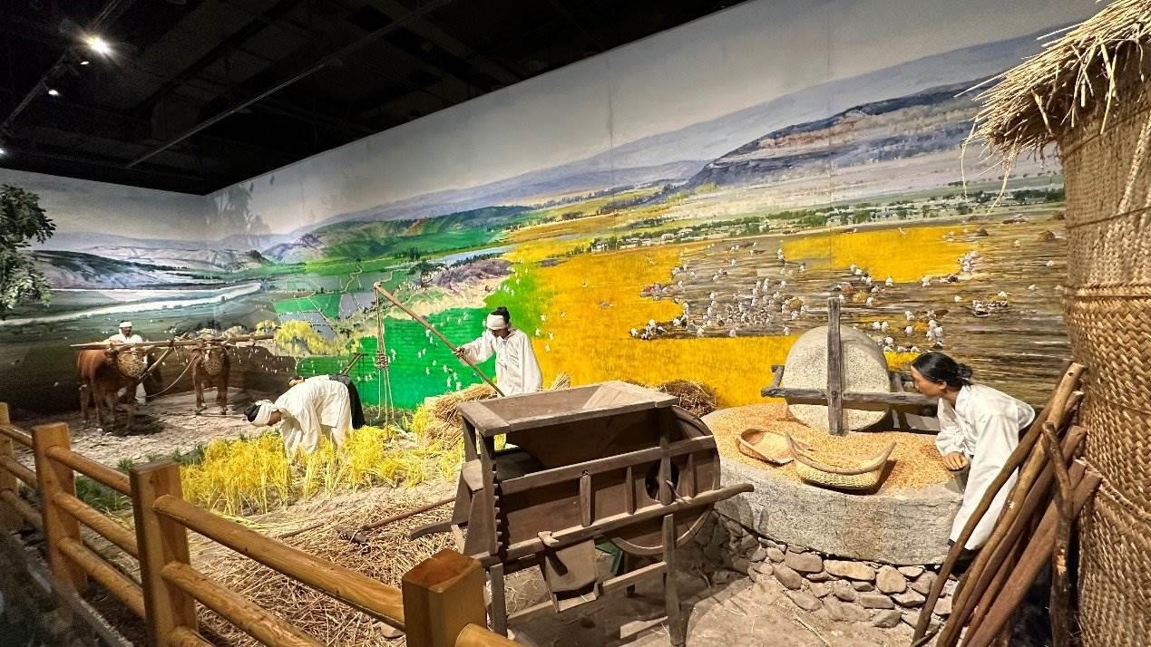 《朝鮮族民俗陳列》展廳。人民網(wǎng)記者 金洪花攝