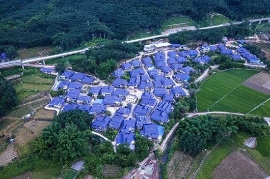 磨憨鎮(zhèn)曼莊村大龍哈小組現(xiàn)代化邊境幸福村新貌。人民網(wǎng)記者 符皓攝