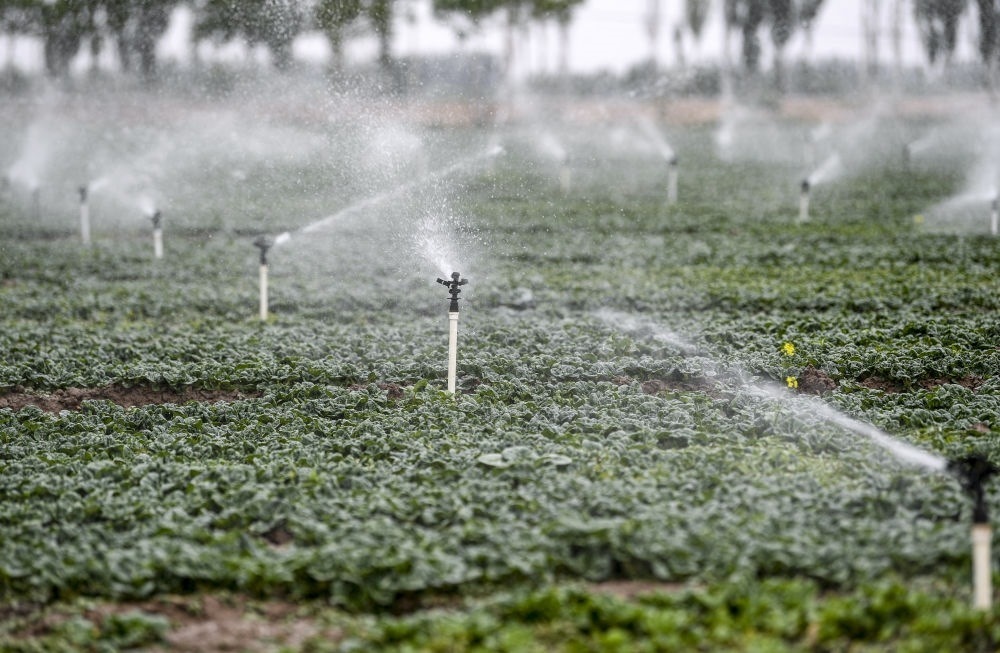 2023年5月25日，在寧夏銀川市永寧縣望洪鎮(zhèn)宋澄村冷涼蔬菜種植基地，小型噴灌節(jié)水設備在進行噴灌作業(yè)。新華社記者 馮開華 攝